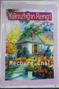 YALNIZLIIN RENGİ