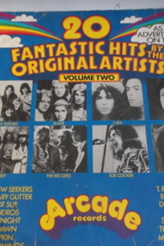 20 Fantastic Hits Original Artists Plak Kabı