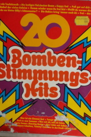 20 Super Stimmungsknuller / 33'lük PLAK