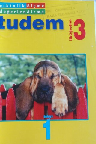 3. Sınıf Etkinlik Ölçme Değerlendirme