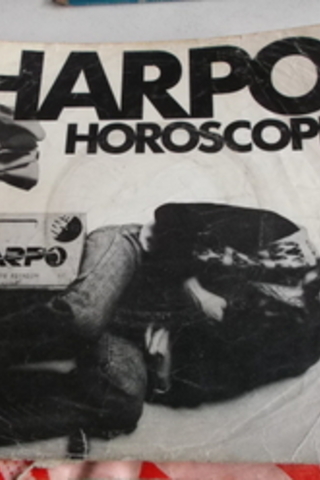 45 lik Plak Kabı / Harpo