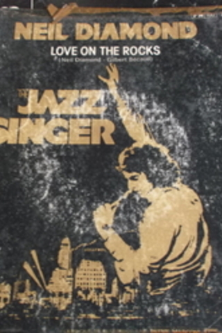 45 lik Plak Kabı / Neil Diamond