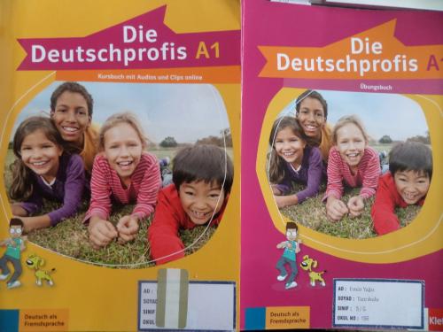 Die Deutschprofis A1