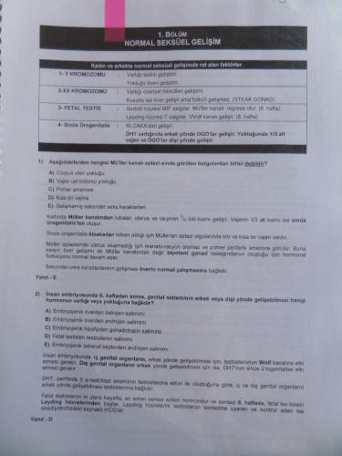 Normal Seksüel Gelişim*