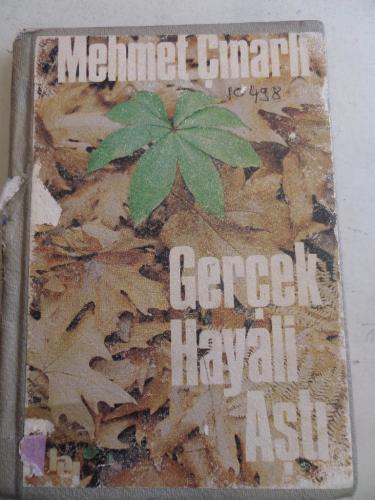 Gerçek Hayali Aştı Mehmet Çınarlı