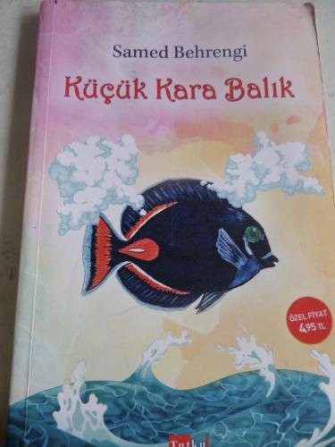 Küçük Kara Balık