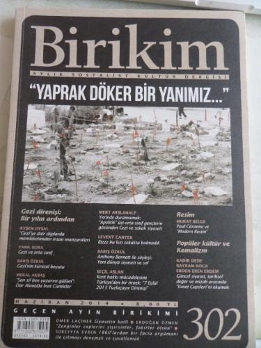 Birikim Dergisi 2014 / 302