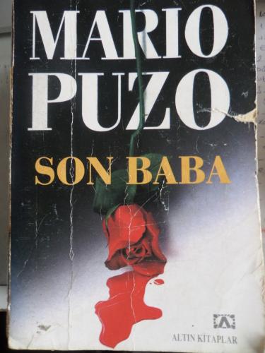 Son Baba Mario Puzo
