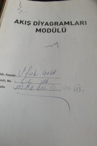 Akış Diyagramları Modülü