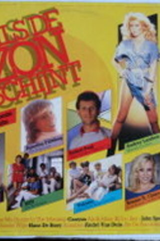 Als De Zon Schijnt / 33'lük PLAK