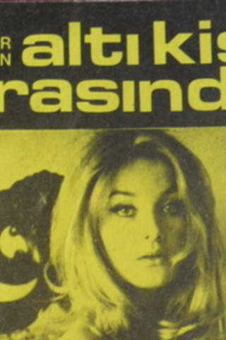 ALTI KİŞİ ARASINDA Carter Brown