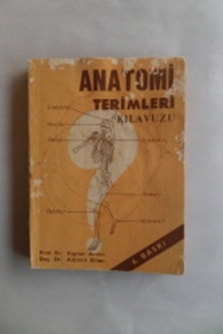 Anatomi Terimleri Kılavuzu Kaplan Arıncı