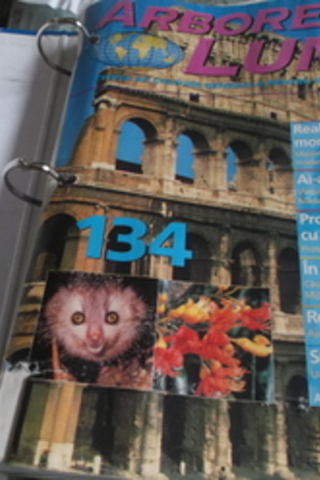 Arborele Lumıı Arborele Lumıı