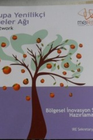 Avrupa Yenilikçi Bölgeler Ağı Aşama 2