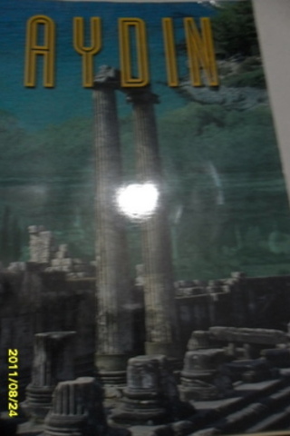 Aydın