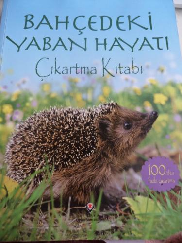 Bahçedeki Yaban Hayatı