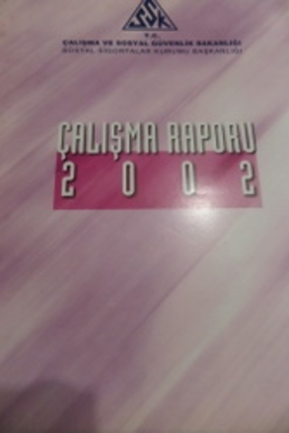 Çalışma Raporu 2002