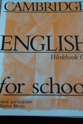 Cambridge English Workbook One For Schools Andrew Littlejohn