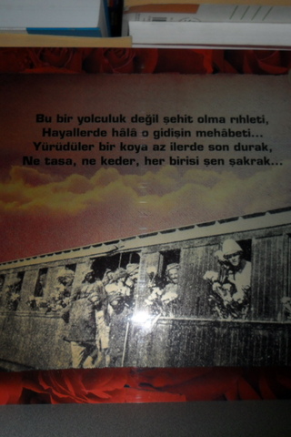 Çanakkale Savaşları Panosu