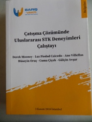 Çatışma Çözümünde Uluslararası STK Deneyimleri Çalıştayı