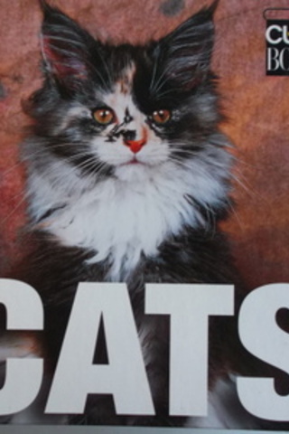 Cats