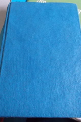 Çini Kumbara Rana Kaptanoğlu