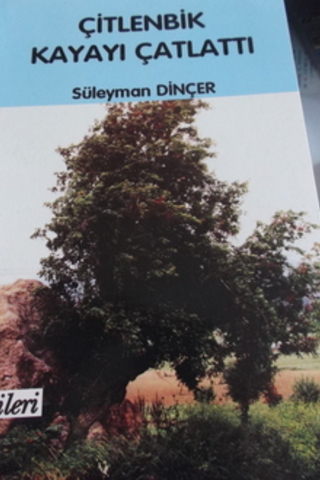 Çitlenbik Kayayı Çatlattı Süleyman Dinçer