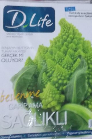 D Life Sağlıklı Yaşam dergisi 2013/8