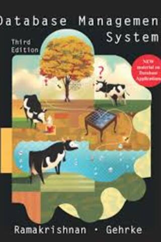 Database Management Systems Raghu Ramakrishnan