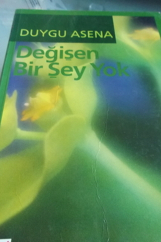 Değişen Birşey Yok Duygu Asena