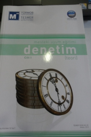 Denetim cilt 1