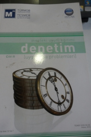 Denetim cilt 2