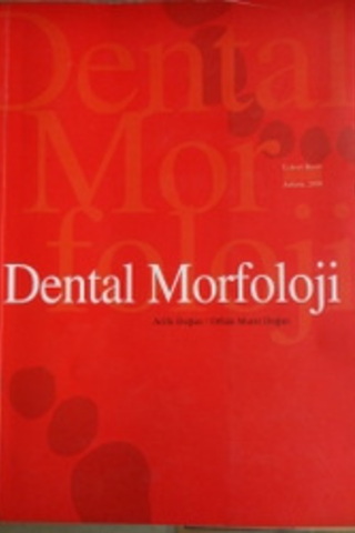 Dental Morfoloji Arife Doğan