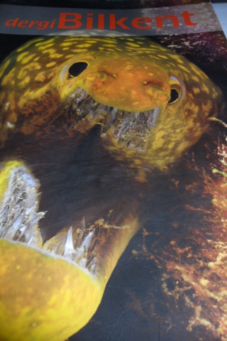 Dergi Bilkent 2007 / 8