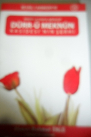 Dürr-ü Meknun Kasidesi'nin Şerhi