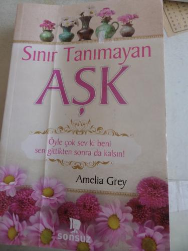Sınır Tanımayan Aşk Amelia Grey