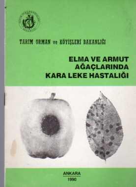Elma ve Armut Ağaçlarında Kara Leke Hastalığı