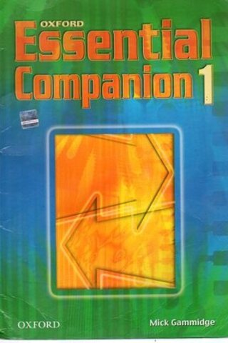 Essential Companion 1 Mick Gammidge