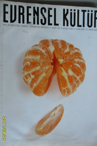 Evrensel Kültür Dergisi 2002 / 121