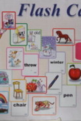 Flash Cards