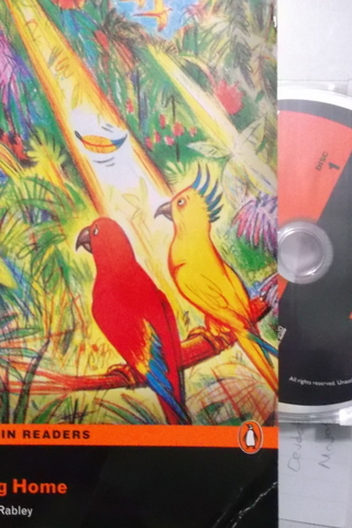 Flying Home Stephen Rabley