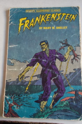 Frankenstein Mary W. Shellley