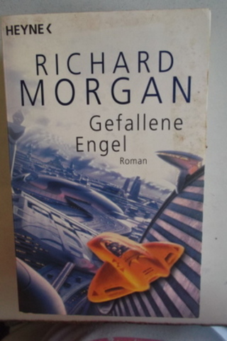 Gefallene Engel Richard Morgan