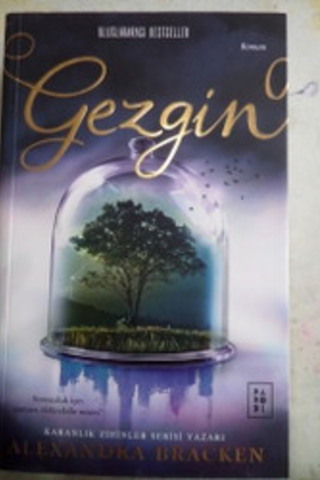 Gezgin Alexandra Bracken