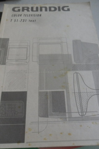 Grunding Color Television