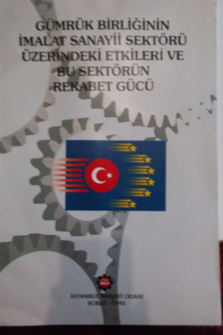 Gümrük Birliğinin İmalat Sanayii Sektörü Üzerindeki Etkileri ve Bu Sektörün Rekabet Gücü