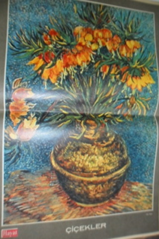 Hayat Dergisi Posteri ( Çiçekler )