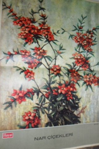 Hayat Dergisi Posteri ( Nar Çiçekleri )