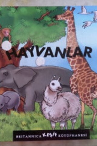 Hayvanlar