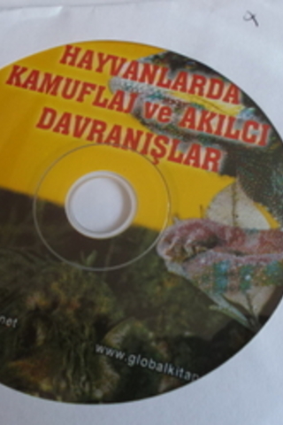 Hayvanlarda Kamuflaj ve Akılcı Davranışlar